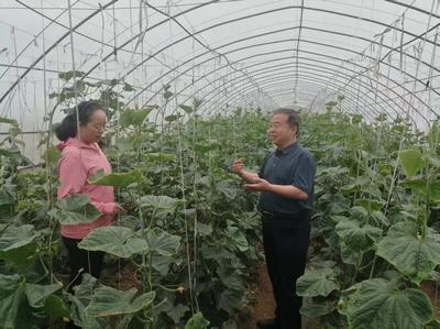 農(nóng)融專企大院 激活鄉(xiāng)村振興新動(dòng)能的科技引擎